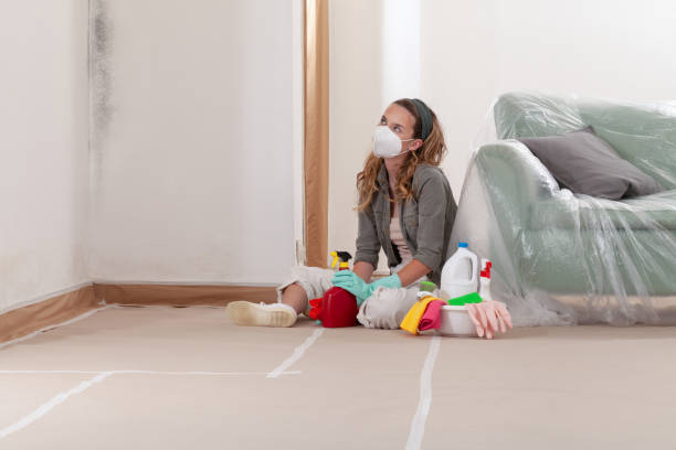 Reliable Mold Cleanup contractor in Andover, MA by Cheap Mold Removal