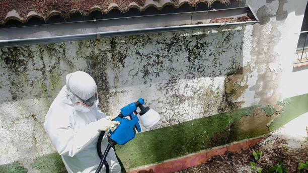 Trusted Mold Inspection service in Andover, MA - Cheap Mold Removal